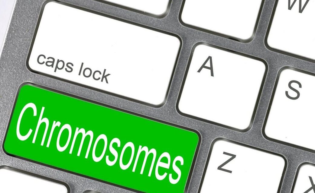 Y Chromosome